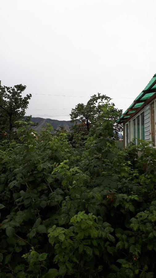 فندق Nurgul Bokonbayevo المظهر الخارجي الصورة